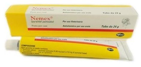 Nemex® Cani Pasta Zoetis Tubo 24g - Farmacia Loreto