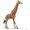 Schleich Giraffa maschio