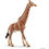 Schleich Giraffa maschio