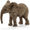 Schleich Cucciolo di elefante africano