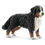 Schleich Cane