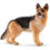 Schleich Cane