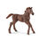 Schleich Puledro