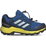 Adidas Terrex Gore-Tex