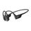 Shokz OpenRun Pro (S810)