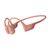 Shokz OpenRun Pro (S810) Rosa