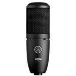AKG P120