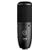 AKG P120