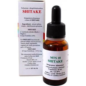 Alkaest MTS18 Shitake 20ml