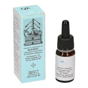 Alkaest QE19 Semi Caldi 10ml