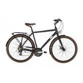 Alpina Bike COMFORT