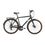 Alpina Bike COMFORT