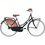 Alpina Bike OLANDA 26