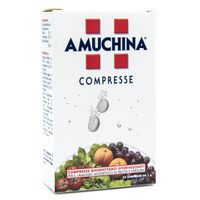 Amuchina Compresse Disinfettanti 24 pezzi