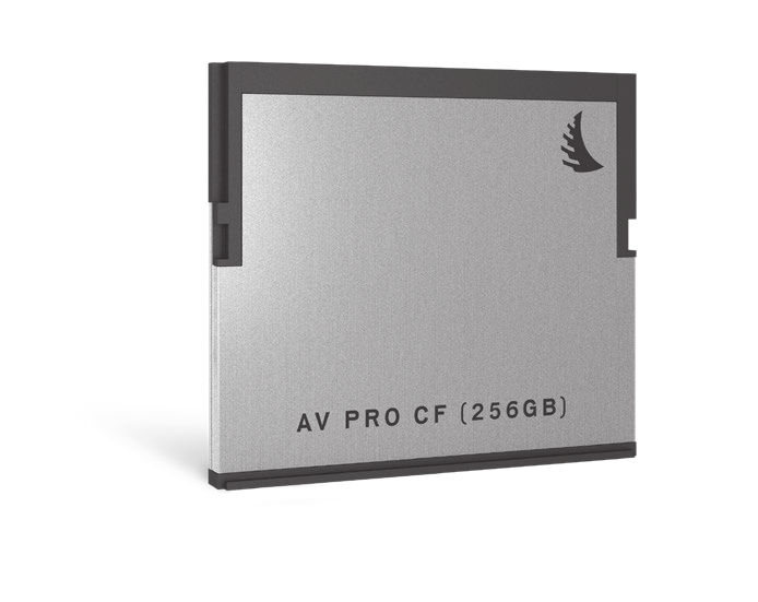 Angelbird AV Pro CF 256GB | Confronta prezzi | Trovaprezzi.it