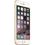 Apple iPhone 6 Plus Ricondizionato