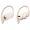 Apple Powerbeats Pro Bianco avorio