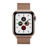 Apple Watch Series 5 GPS+Cellular 40mm (2019) Ricondizionato Oro