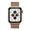 Apple Watch Series 5 GPS+Cellular 40mm (2019) Ricondizionato Oro