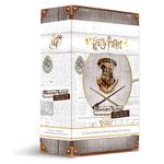 Asmodée Harry Potter Hogwarts Battle Difesa Contro le Arti Oscure