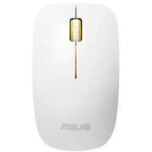 Asus WT300
