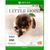 Bandai Namco The Dark Pictures Anthology: Little Hope Xbox One