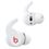 Beats Fit Pro True Wireless