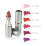 BioNike Defence Color Lipshine Rossetto 205 Prune