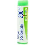 Boiron Thuya Occidentalis Globuli 200ch