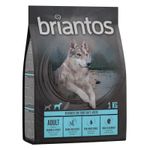 Briantos Adult Cane (Salmone/Patate) - secco 1kg