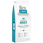 Brit Care Grain-Free Adult Cane (Salmone e Patate) - secco 12Kg