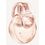 Bulgari Omnia Crystalline Eau de Parfum