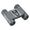 Bushnell Powerview 8X21