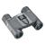 Bushnell Powerview 8X21