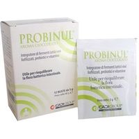 Ca.Di.Group Probinul Cioccolato 12 bustine