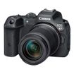 Canon EOS R7 + 18-150mm