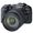 Canon EOS RP + 24-105mm f/4 L IS USM