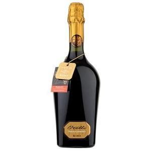 Cantine Ceci Otello Nero di Lambrusco Emilia IGT Magnum 1.5L