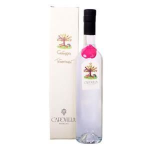 Capovilla Grappa di Traminer