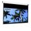 Celexon Motor Professional 160x90cm