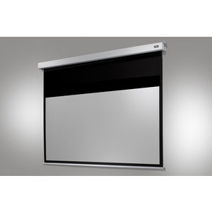 Celexon Professional Plus 300x169cm