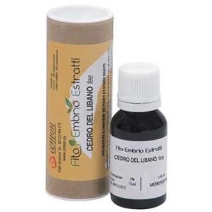 Cemon Cedro del Libano Fee