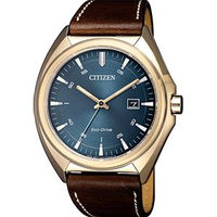 Citizen Metropolitan AW1573-11L