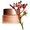 Clarins Extra Firming Jour 50ml Ricarica