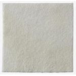 Coloplast Biatain Alginate 15x15cm