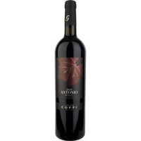 Coppi Primitivo Don Antonio Puglia IGT