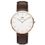 Daniel Wellington Classic Bristol 40MM