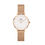 Daniel Wellington Petite Melrose 32MM
