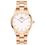 Daniel Wellington Iconic Link 36MM