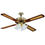 DCG Eltronic VECRD53